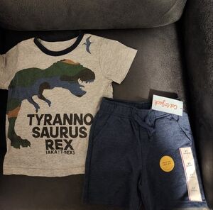 Gray Dinosaur T-Shirt and Blue Shorts Set